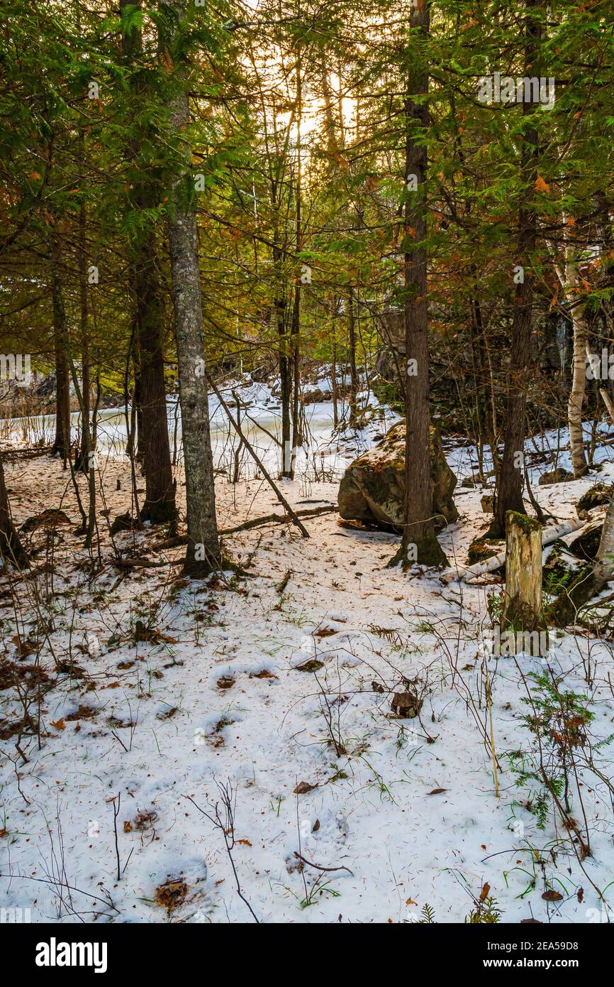 Egan Chutes Conservation Area Bancroft Ontario Canada in inverno Foto Stock