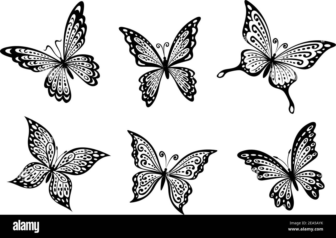 Belle farfalle insetti isolati su sfondo bianco Illustrazione Vettoriale