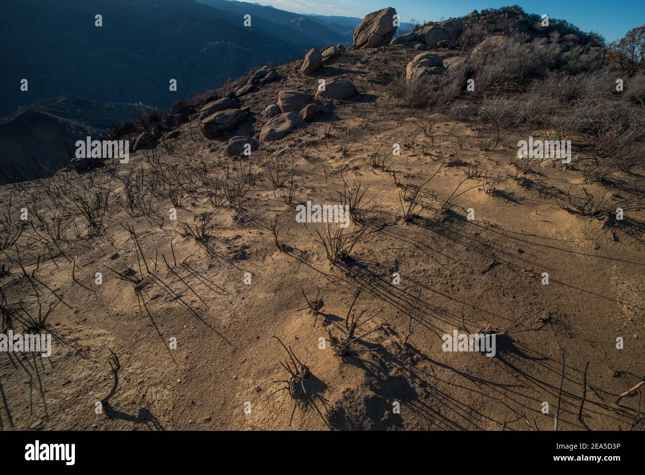 Le montagne della catena costiera in California dopo che i fuochi selvaggi sono passati attraverso e bruciano tutta la vegetazione via. Foto Stock