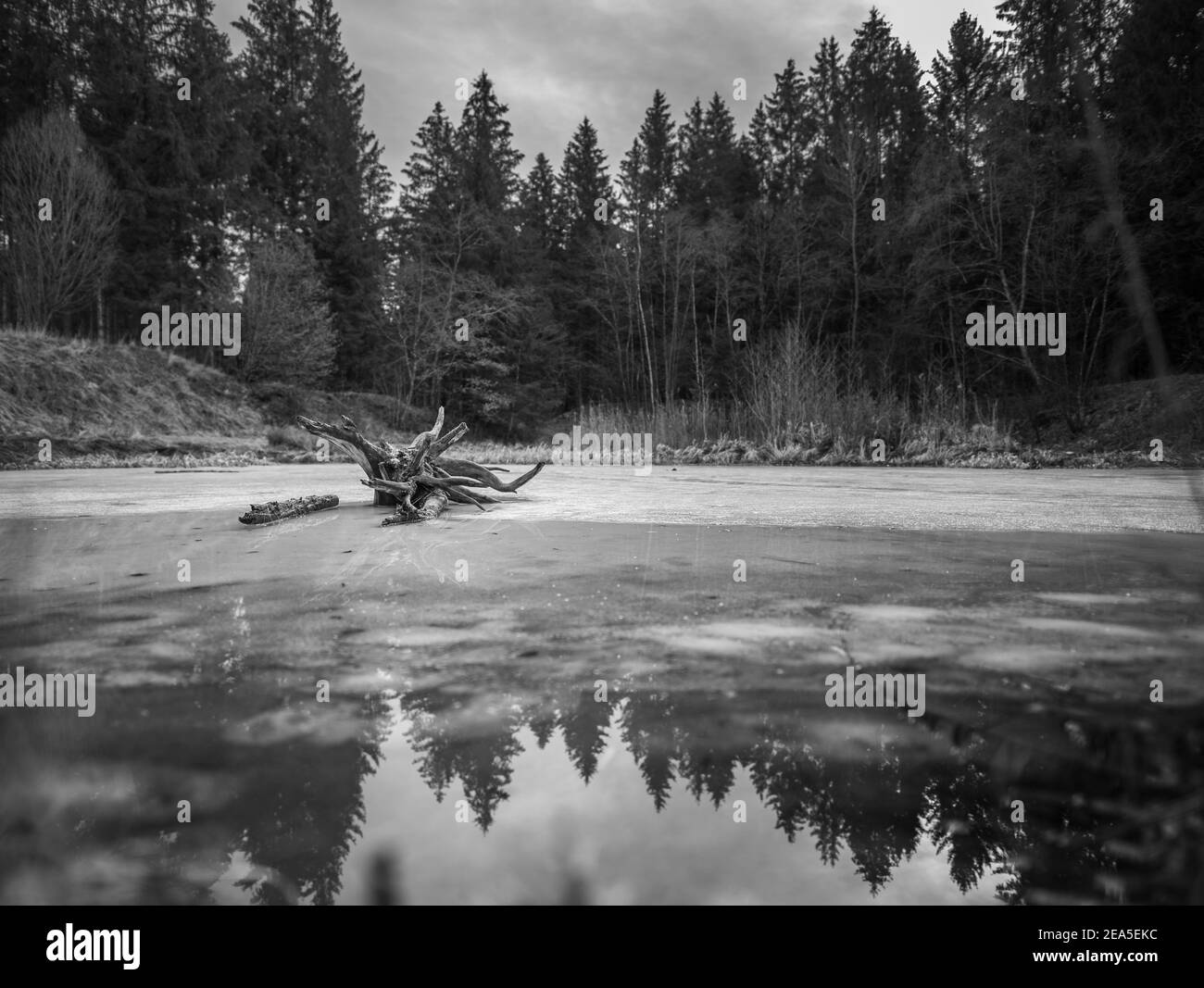 Vista panoramica invernale su un lago ghiacciato con parti d'acqua, che riflette gli alberi della foresta circostante. Foto Stock
