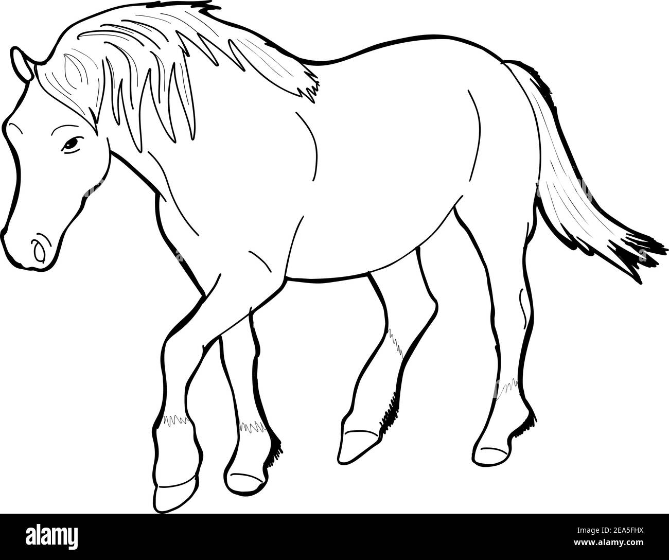 Illustrazione vettoriale di un cavallo in bianco e nero Illustrazione Vettoriale