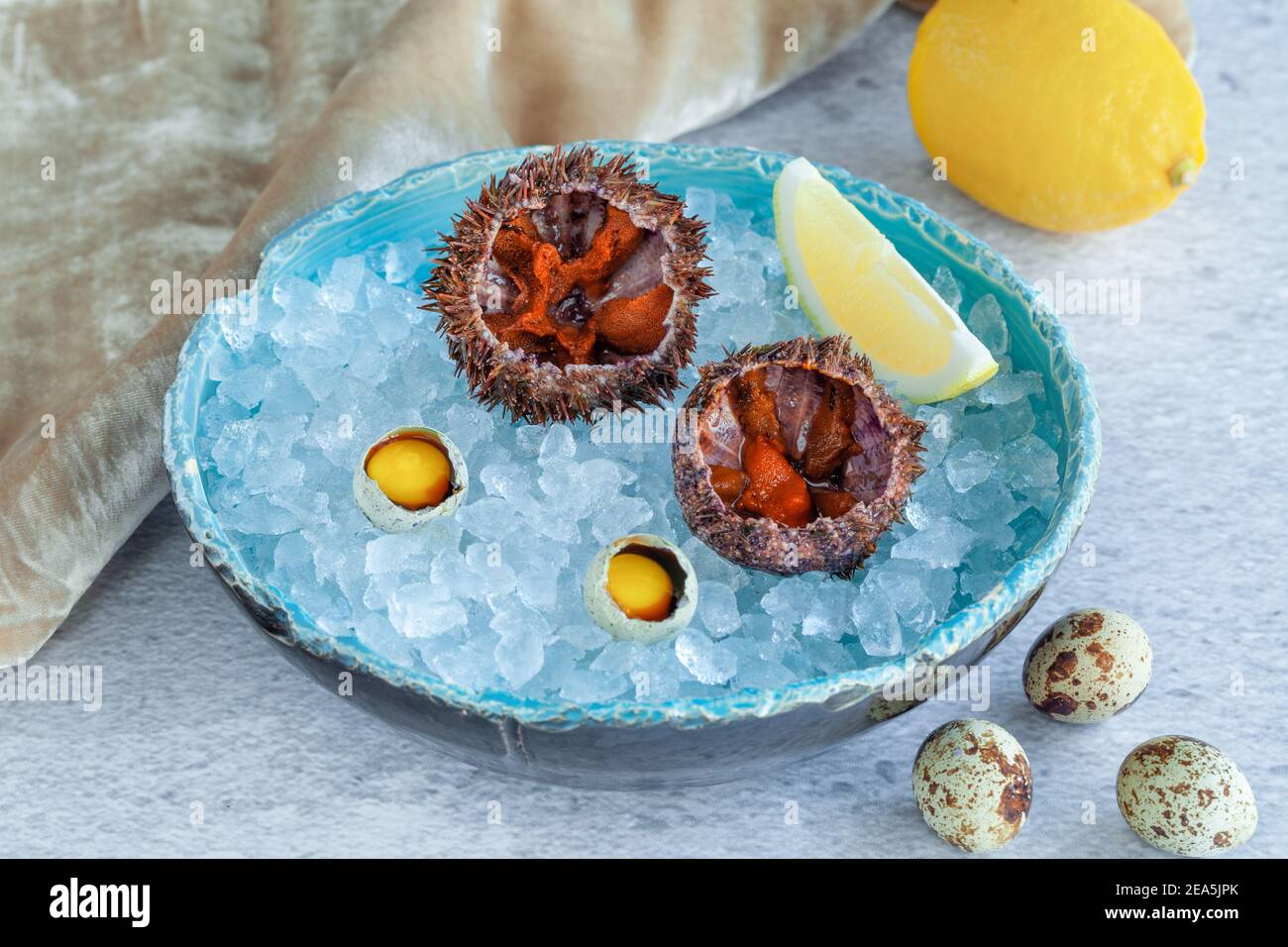 Ricci di mare da vicino aperti e pronti a mangiare su ghiaccio nella piastra Foto Stock