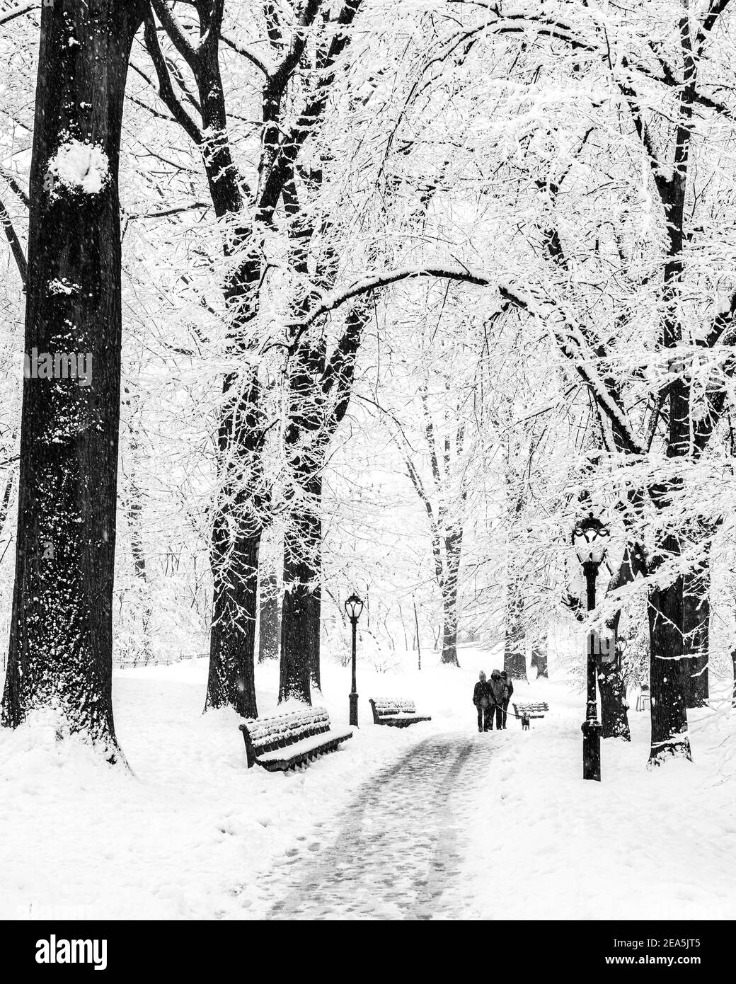New York City Central Park durante una tempesta di neve Foto Stock