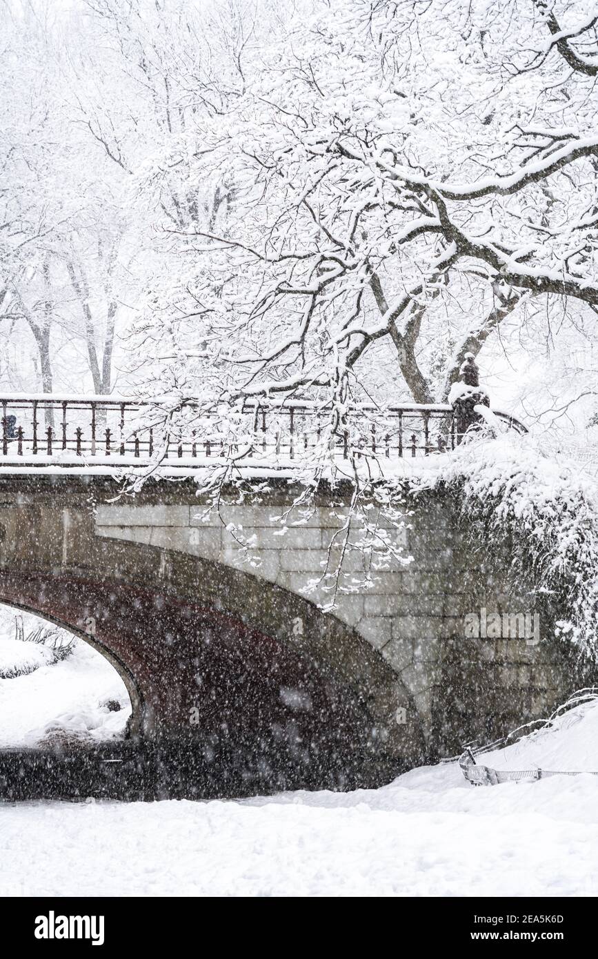 New York City Central Park durante una tempesta di neve Foto Stock