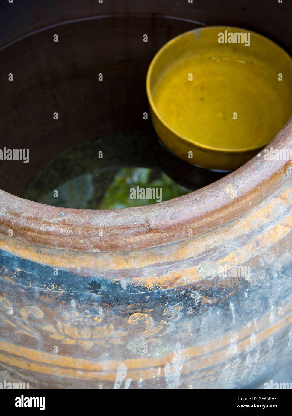 Il recipiente di plastica giallo si trova nel vaso Foto Stock