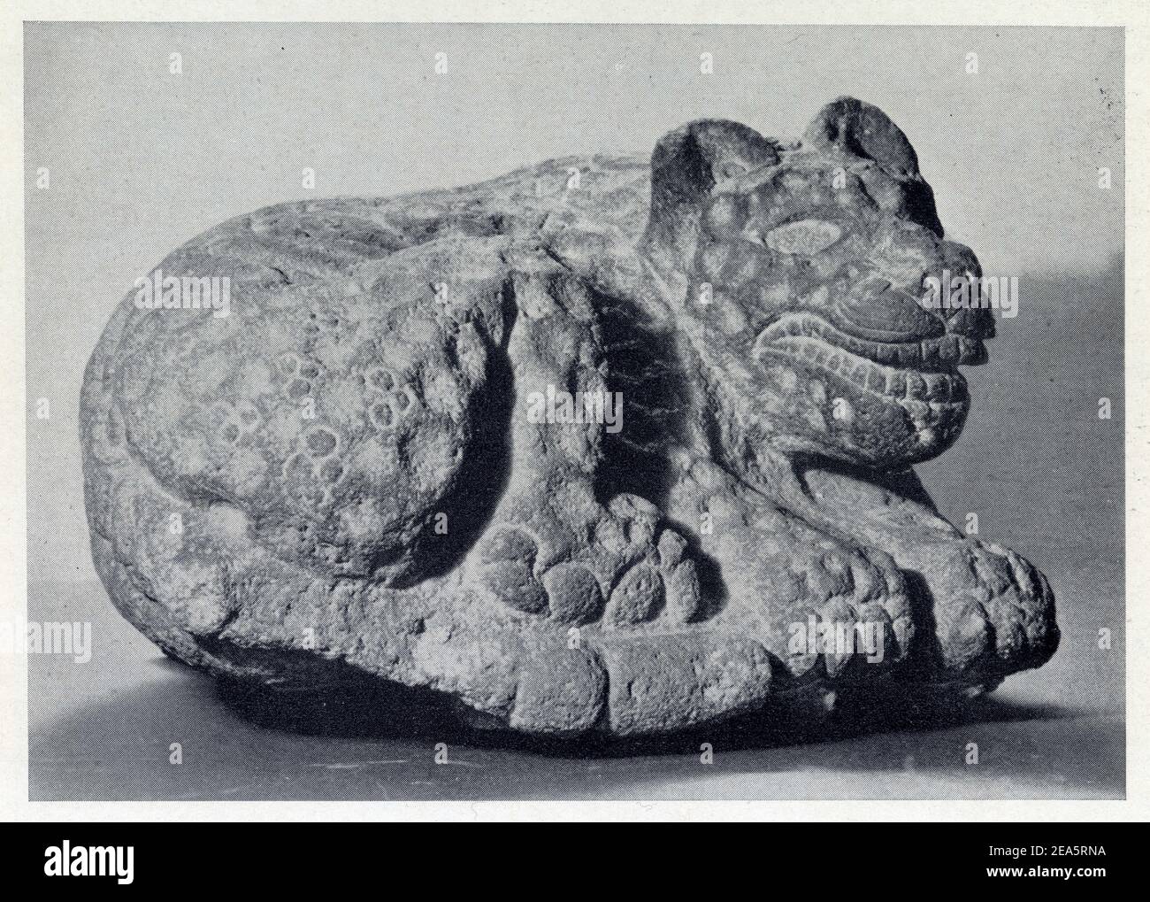 Taches Immagini E Fotografie Stock Ad Alta Risoluzione Alamy