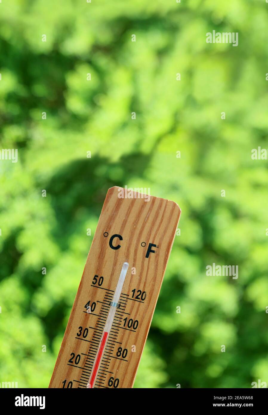 Termometro con temperatura a 35 gradi Celsius rispetto al verde sfocato  fogliame Foto stock - Alamy