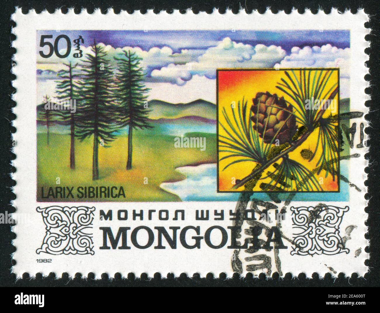 MONGOLIA - CIRCA 1982: Francobollo stampato dalla Mongolia, mostra Larix sibirica, circa 1982 Foto Stock