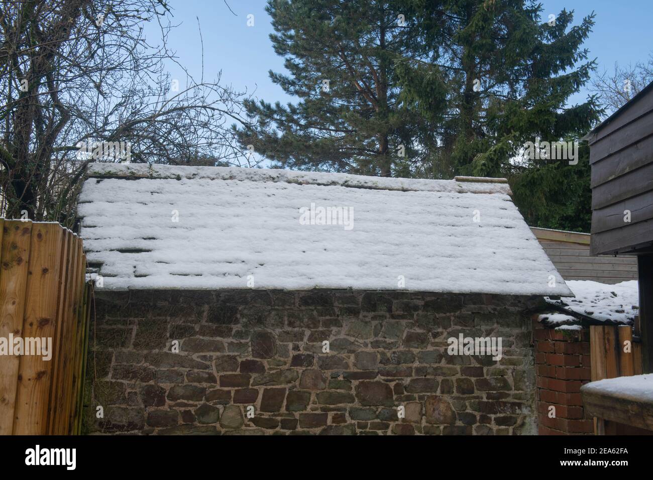 Tetto di Tile di ardesia coperto con neve con un albero di pino nello sfondo in un giardino di Cottage di campagna in Devon rurale, Inghilterra, Regno Unito Foto Stock