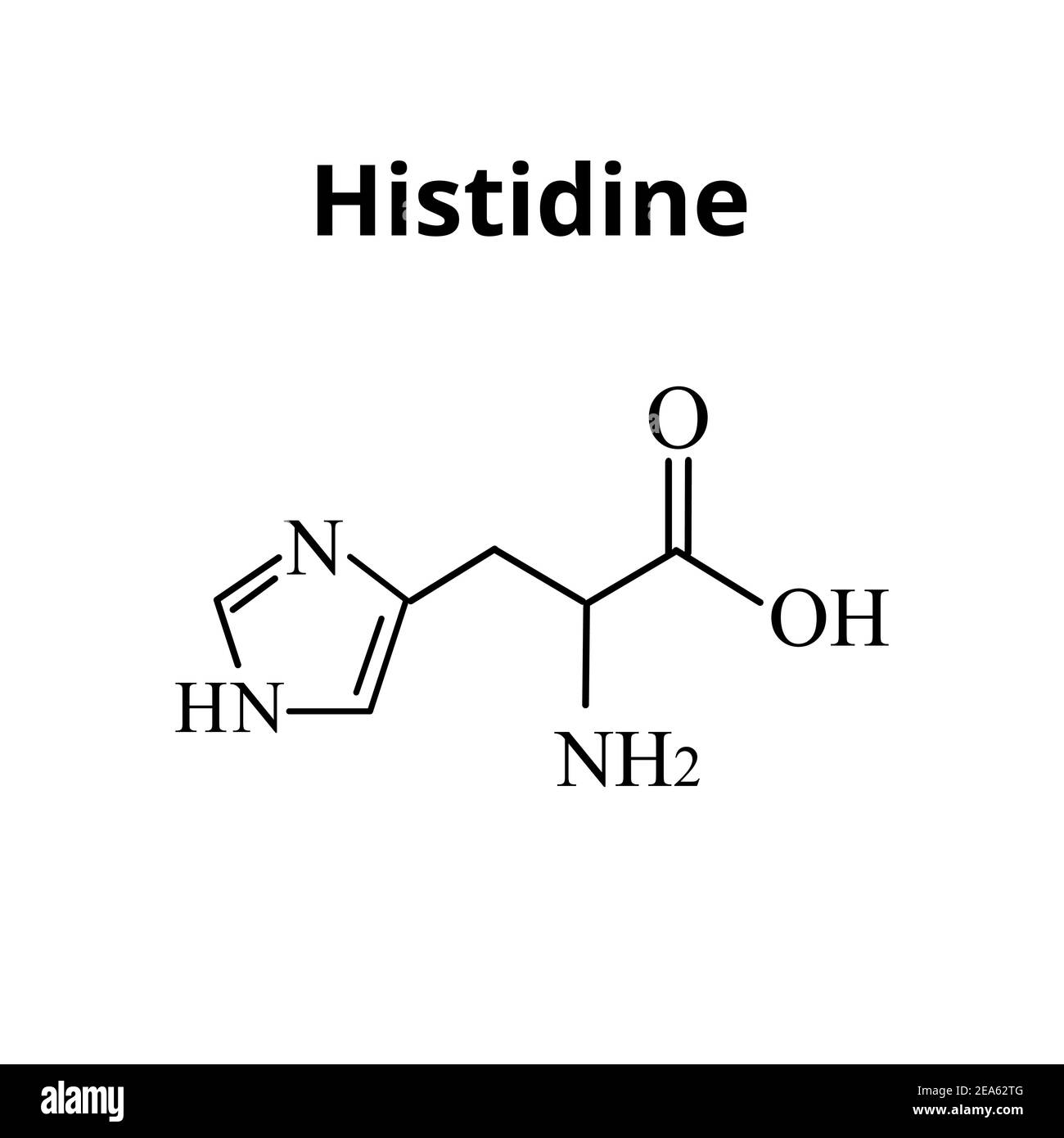 Aminoacido istidina. Formula chimica molecolare aminoacido istidina. Illustrazione vettoriale su sfondo isolato Illustrazione Vettoriale
