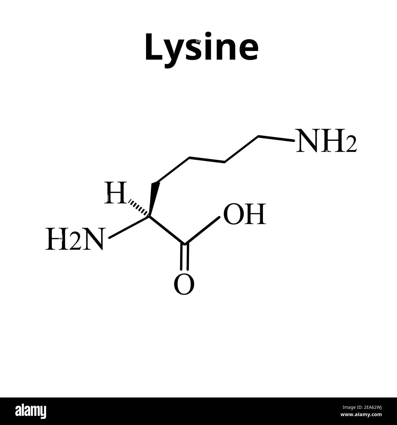Aminoacido lisina. Formula chimica molecolare la lisina è un amminoacido.  Illustrazione vettoriale su sfondo isolato Immagine e Vettoriale - Alamy