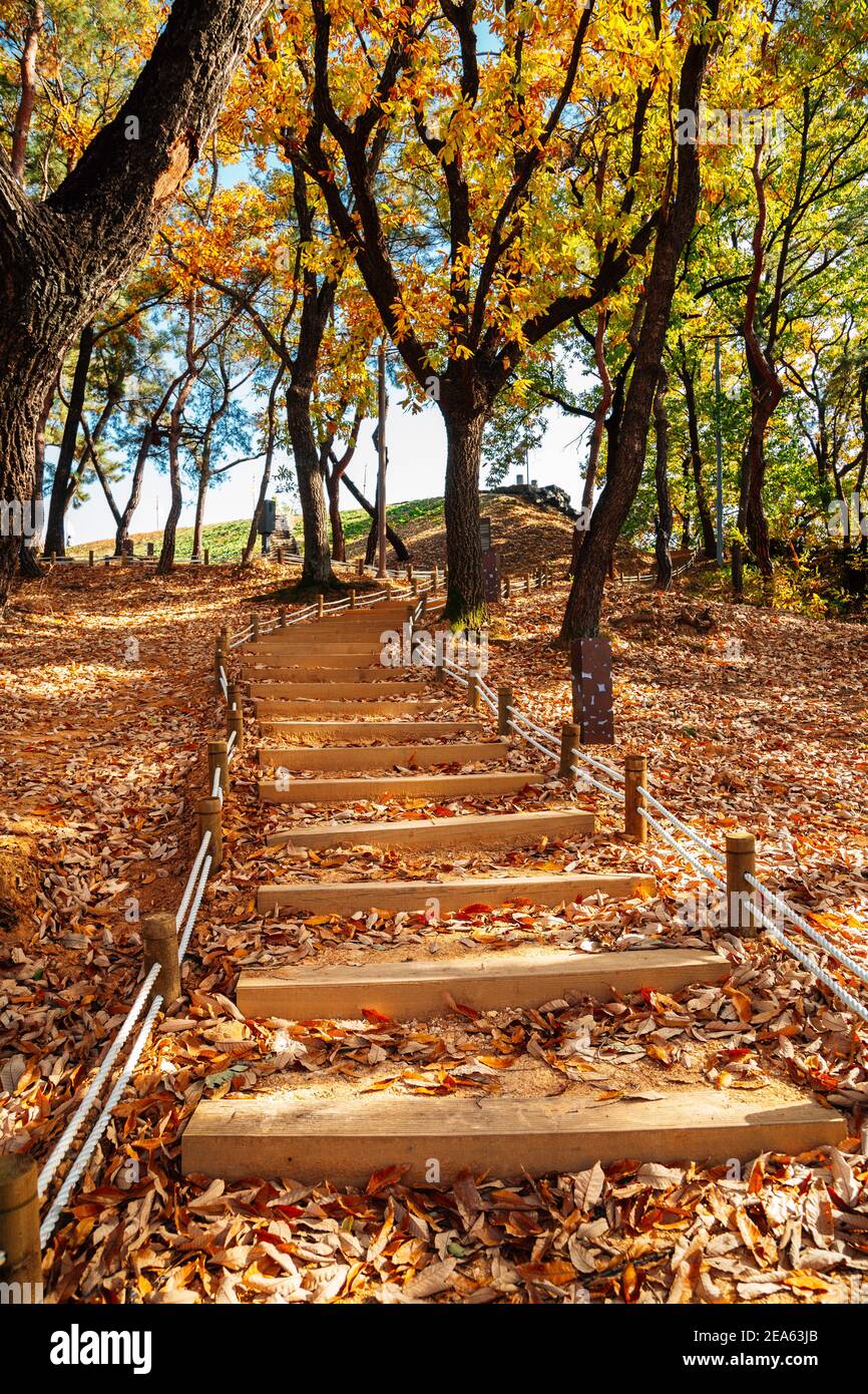 Autunno colorata strada forestale a Miryang Eupseong Fortezza a Miryang, Corea Foto Stock
