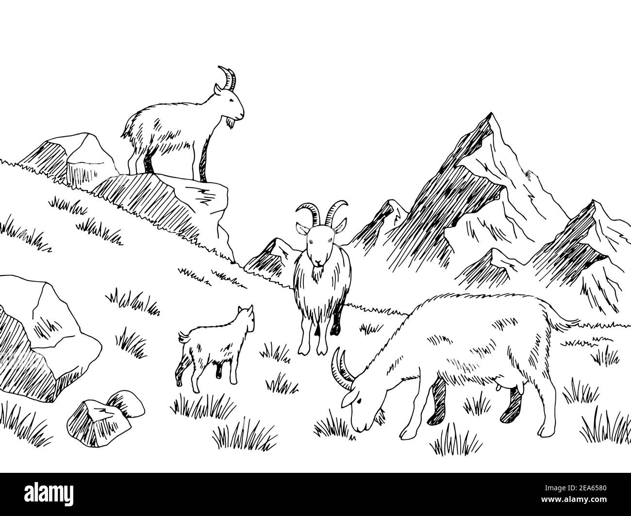 Capra che alimenta erba prato montagne grafico bianco nero schizzo illustrazione vettore Illustrazione Vettoriale