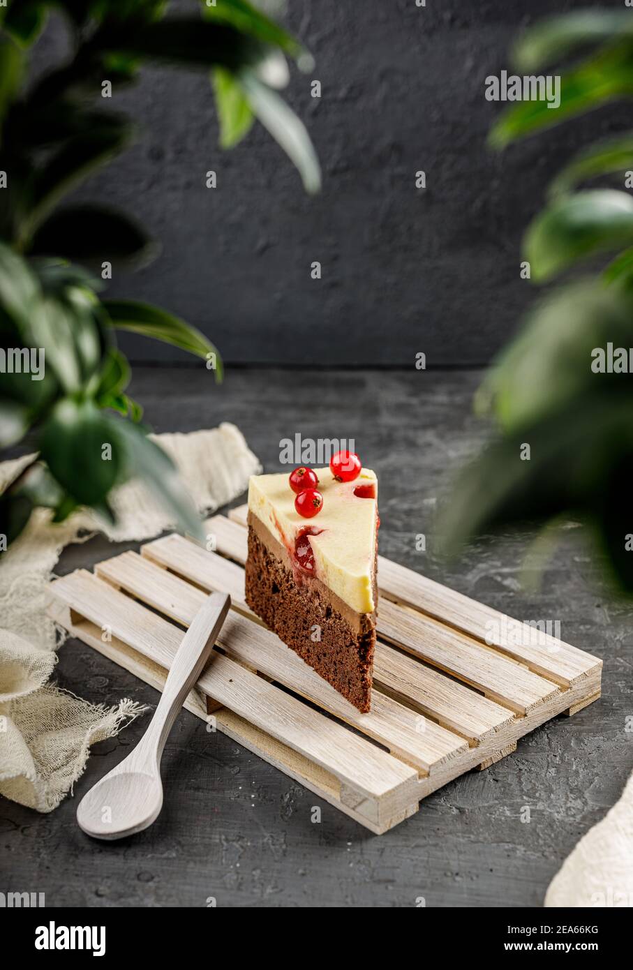 Primo piano di una fetta di deliziosa torta con ribes rosso e panna montata cheesy. Gustosa cheesecake Foto Stock