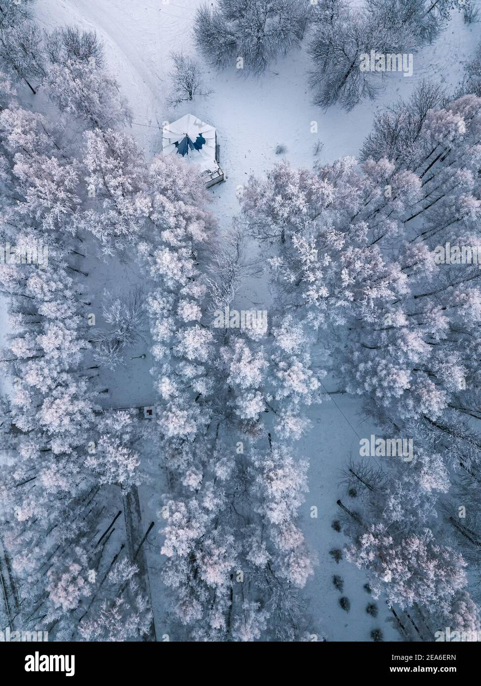 Vista aerea della foresta di conifere ghiacciato e un piccolo gazebo nel parco Foto Stock