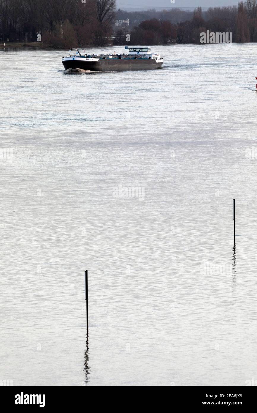 Alluvione sul Reno nella zona di Dusseldorf-Kaiserswerth e Meerbusch Foto Stock