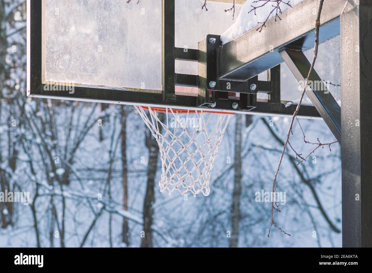Concetto di ricreazione. Tavola da basket coperta di neve in piedi nei campi durante l'inverno. Inverno foresta in sfondo sfocato Foto Stock