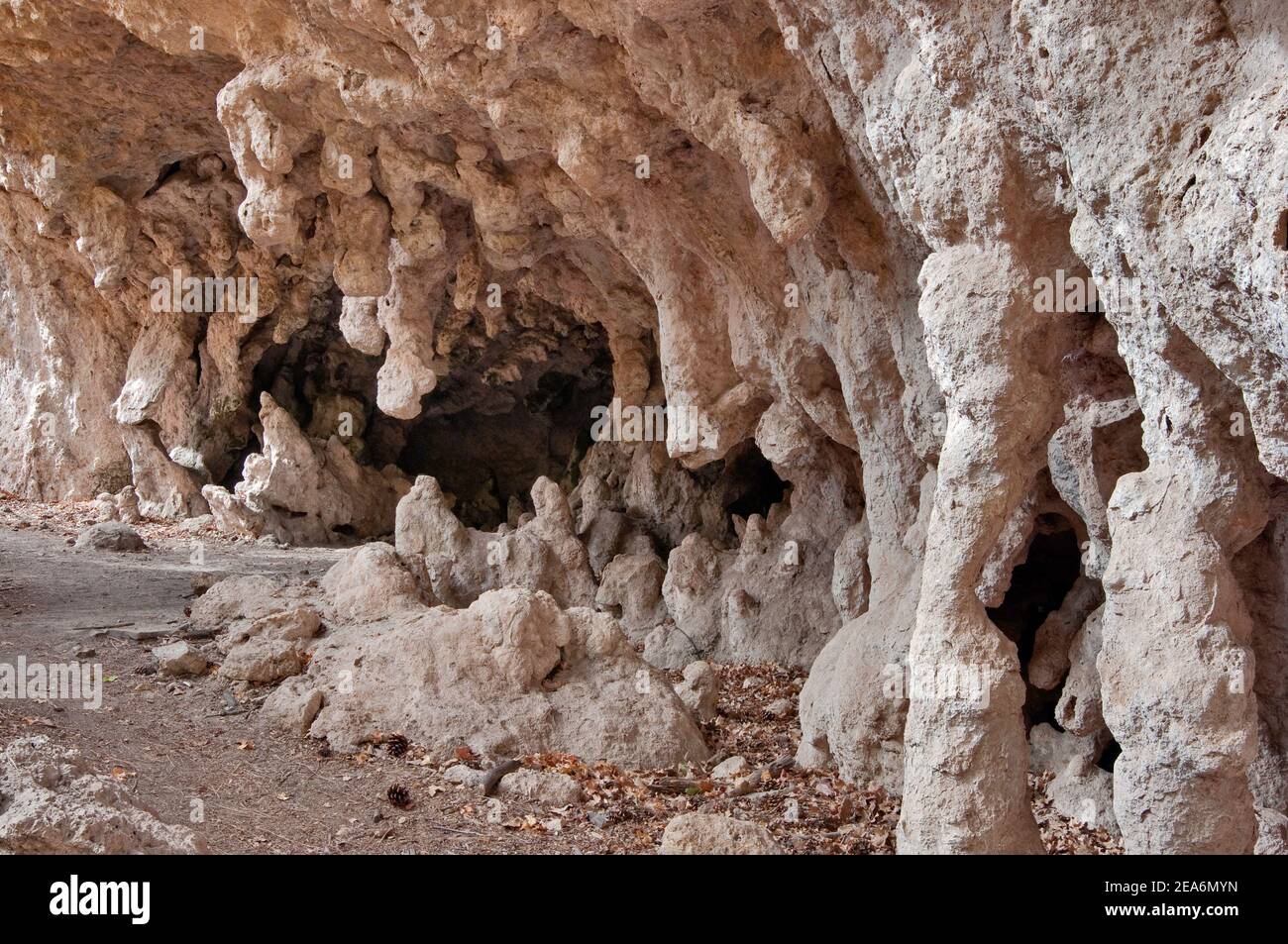 Grotta del Canyon McKittick, Guadalupe Mountains National Park, Texas, Stati Uniti Foto Stock