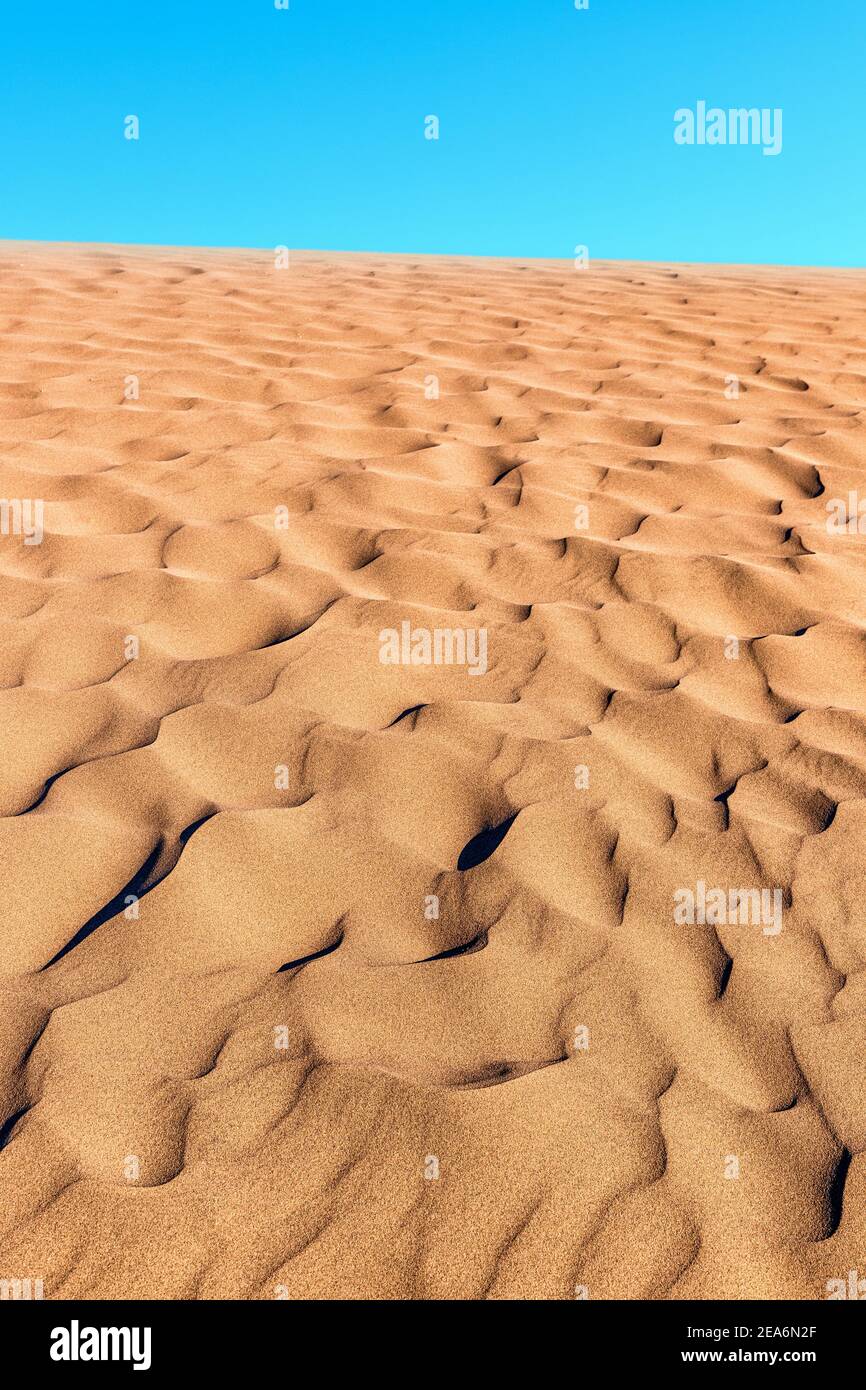 Texture ravvicinata della superficie scanalata della sabbia con increspature e mini-dune e cielo blu nel deserto durante il tramonto. Foto Stock