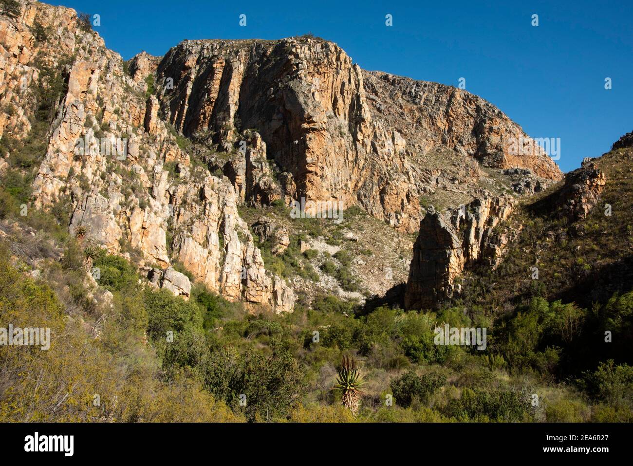 Scenario sulle cascate di Cedar, Baviaanskloof, Sudafrica Foto Stock
