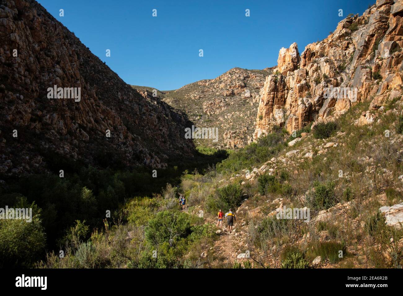 Escursioni a Cedar Falls, Baviaanskloof, Sud Africa Foto Stock