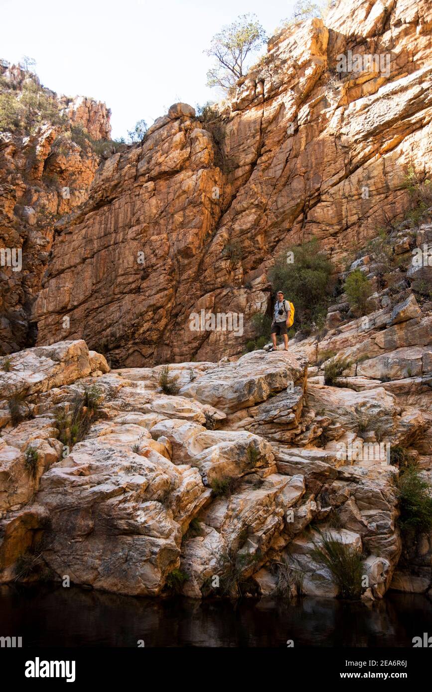 Escursioni / kloofing a Cedar Falls, Baviaanskloof, Sud Africa Foto Stock