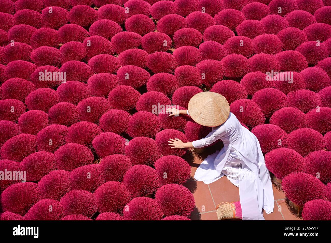 Donna che raccoglie bastoni incensi secchi, Hanoi, Vietnam Foto Stock