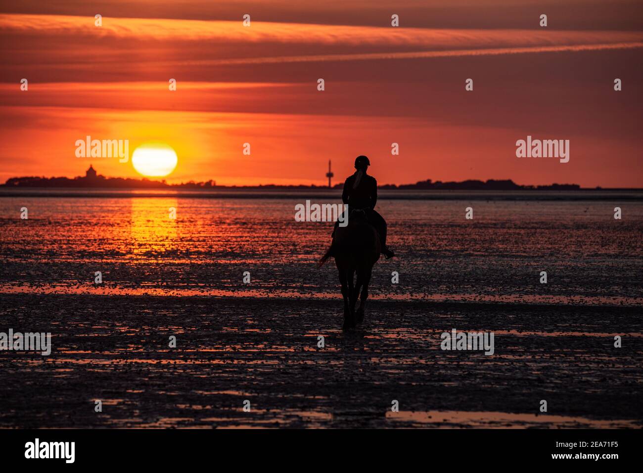 Persona su un cavallo nel mudflats di Cuxhaven a. Tramonto con l'isola Neuwerk sullo sfondo Foto Stock