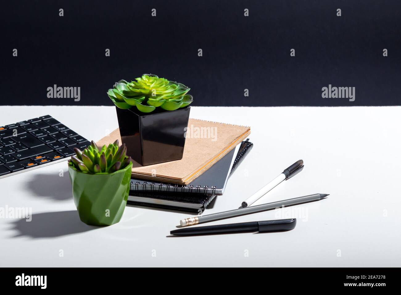 Notepad per computer e fiori succulenti. Cancelleria da tastiera per il lavoro a casa in ufficio. Tavolo bianco per l'home Office con spazio per la copia Foto Stock