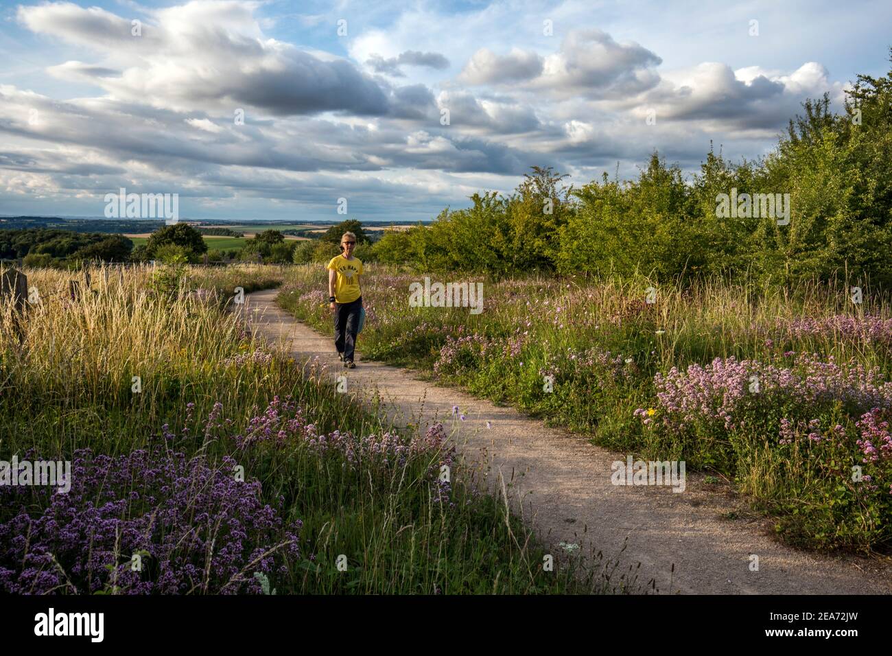 Magdalen Hill Down; Woman Walking; Hampshire; UK Foto Stock