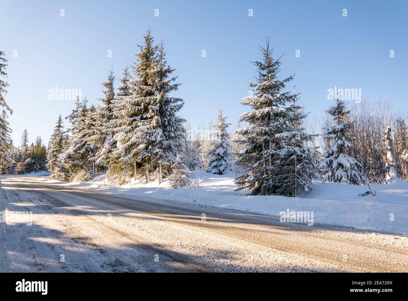 strada panoramica di montagna in scenario invernale Foto Stock