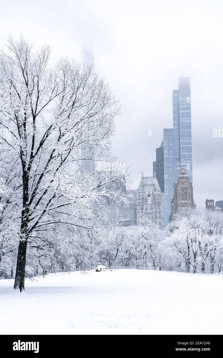 Splendida vista dello skyline di New York City da un Central Park vuoto durante una tempesta di neve pesante. Foto Stock
