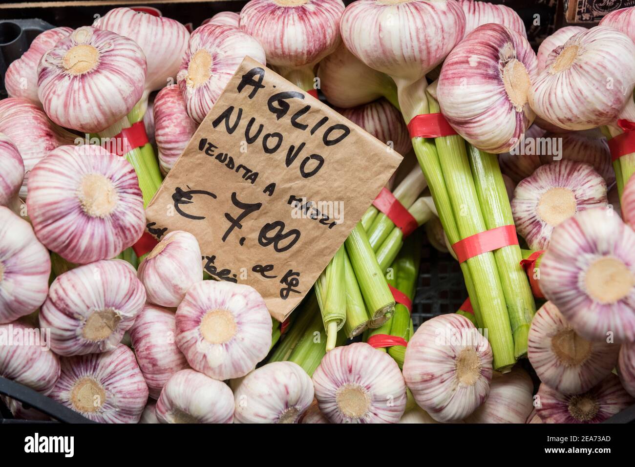 Aglio fresco di nuova stagione in vendita su uno stand di mercato A Bologna Italia Foto Stock