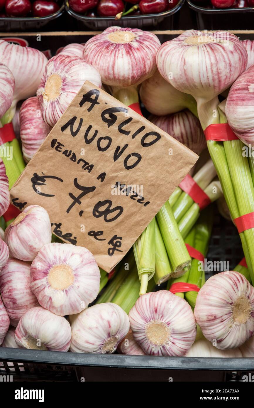 Aglio fresco di nuova stagione in vendita su uno stand di mercato A Bologna Italia Foto Stock