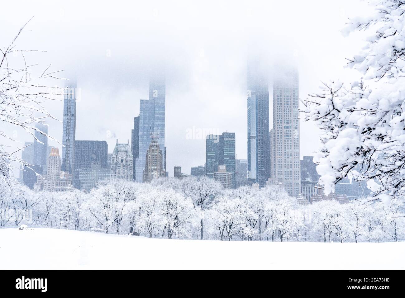 Empty Central Park durante una bella tempesta di neve con vista sulla città. Foto Stock