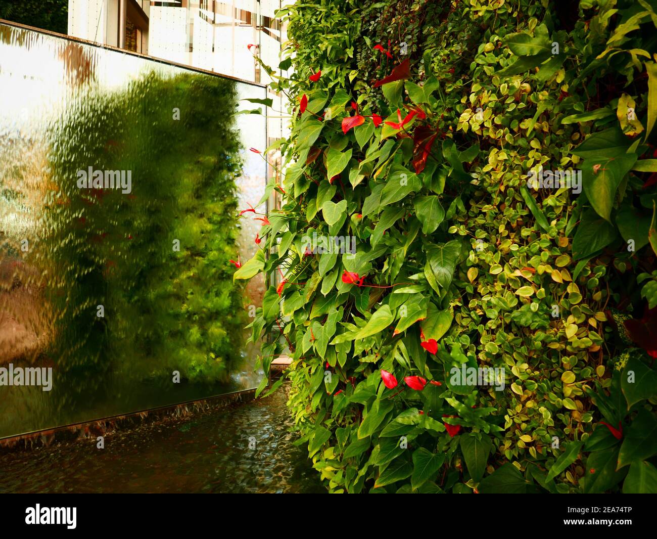 Siam Paragon edificio ascensore Bangkok Thailandia Foto Stock