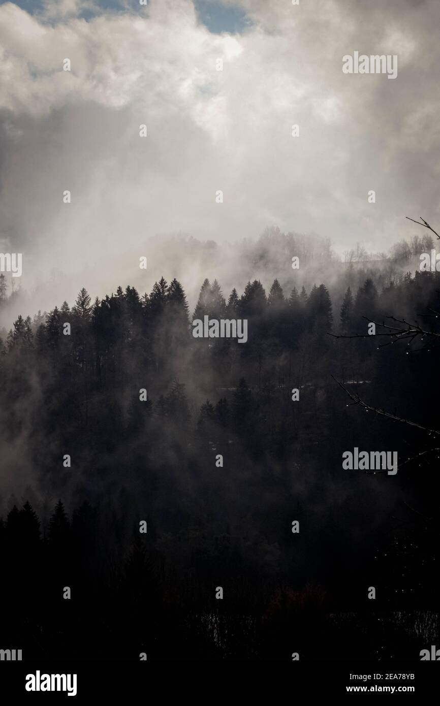 Foto ravvicinate di una natura Foto Stock