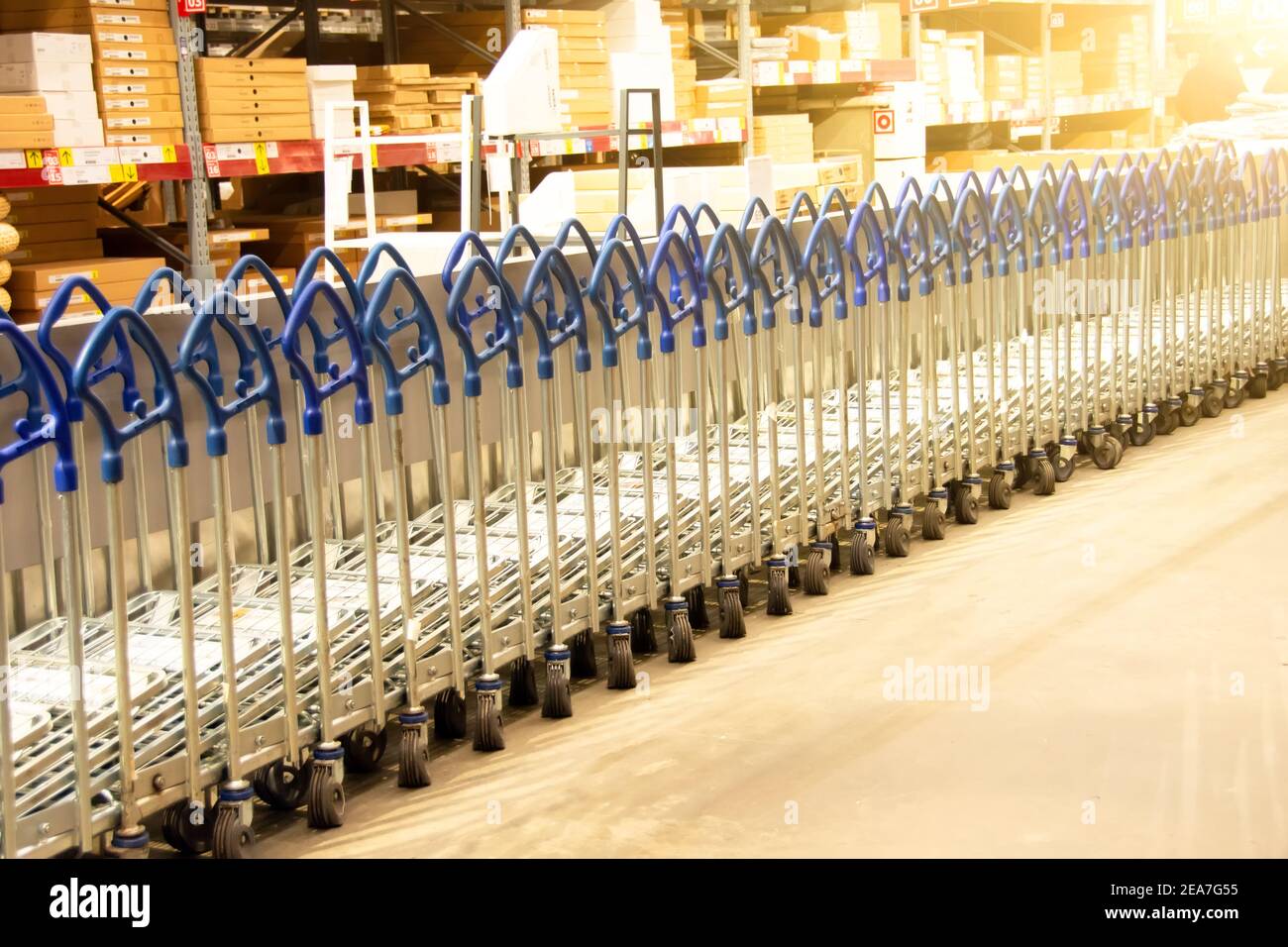 Stoccaggio in magazzino di un negozio al dettaglio. Fila una varietà di carrelli per lo shopping tra la sezione di scaffali oversize in un negozio al dettaglio in un magazzino supermercato Foto Stock