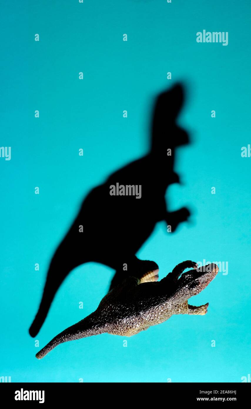 ombra di dinosauro preistorico giocattolo in miniatura su sfondo blu Foto Stock