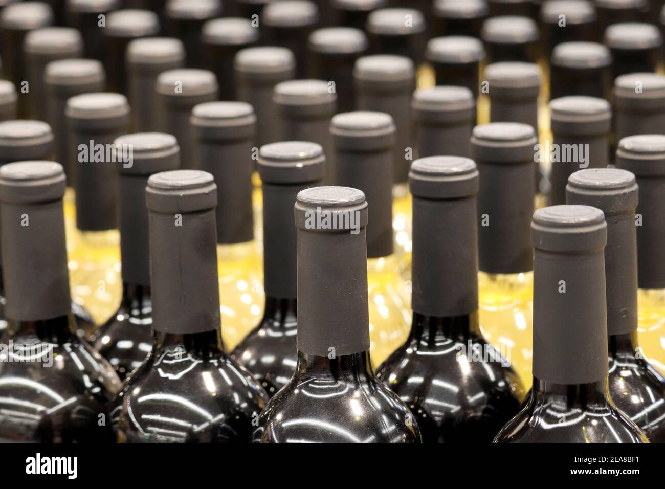 Bottiglie di vino polverose in fila, fuoco selettivo. Negozio di liquori, concetto di produzione di vino rosso e bianco Foto Stock