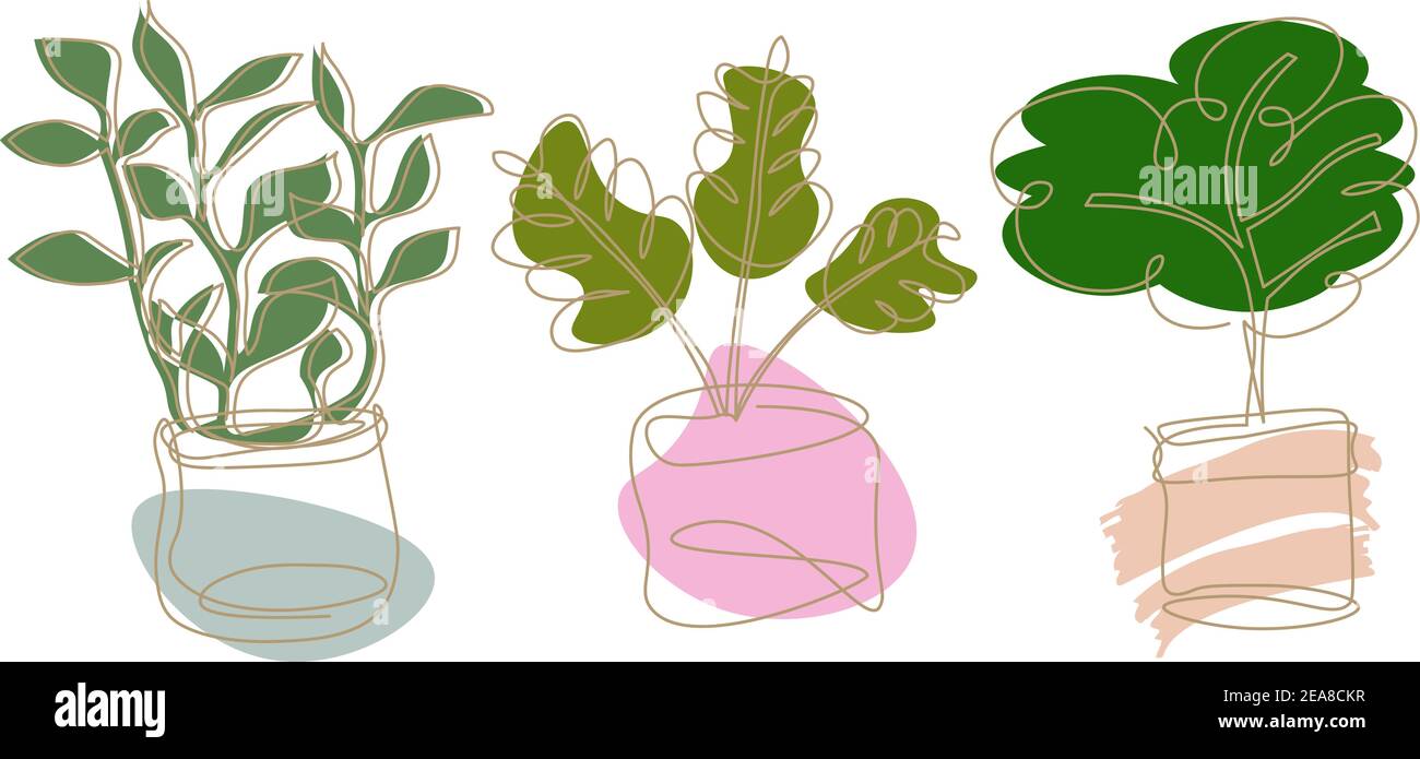Set di tre icone con astratto piante casa disegnando in stile minimalista Illustrazione Vettoriale