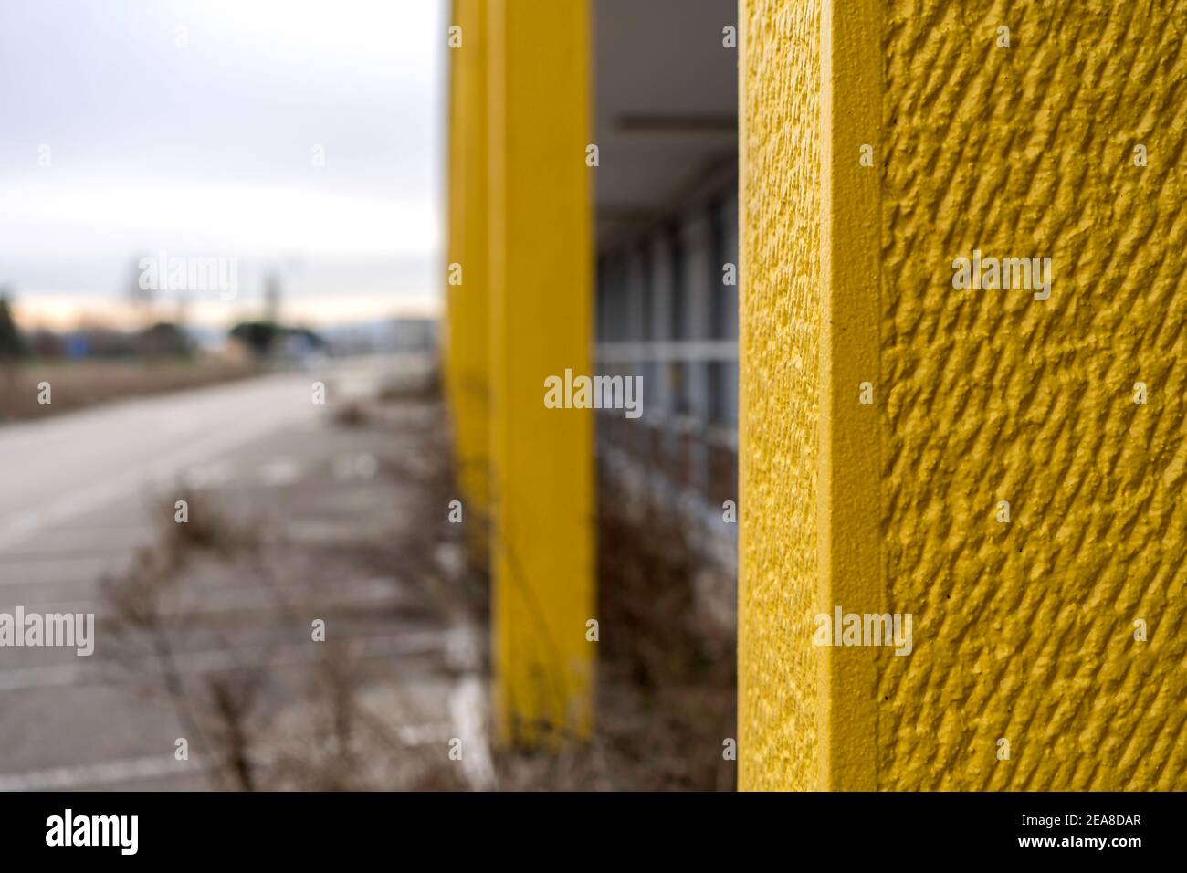 Bel calcestruzzo tonato giallo con sfondo sfocato di un abbandonato Luogo con vegetazione - Grunge luminoso sfondo di colore illuminante in grigio urbano c Foto Stock