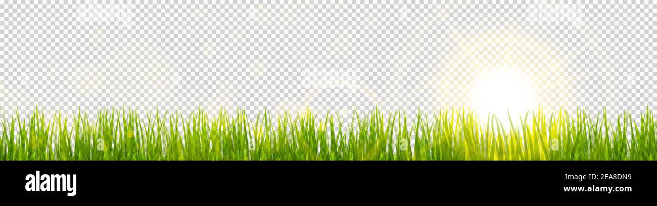 file di modello di sfondo vettoriale eps dell'erba verde panoramica attivata lato inferiore con raggi solari per i modelli estivi o primaverili con effetto di trasparenza in funzione Illustrazione Vettoriale