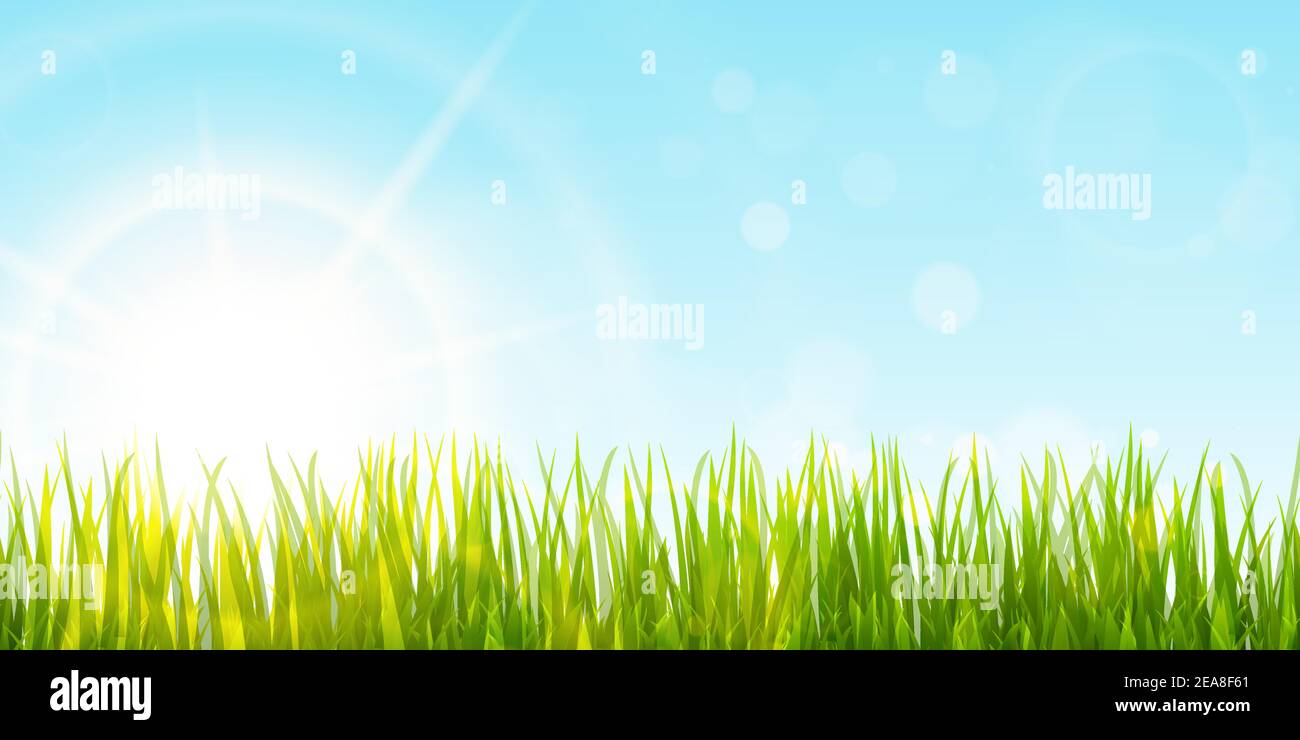 file di modello di sfondo vettoriale eps dell'erba verde panoramica attivata lato inferiore con raggi solari per i modelli estivi o primaverili Illustrazione Vettoriale