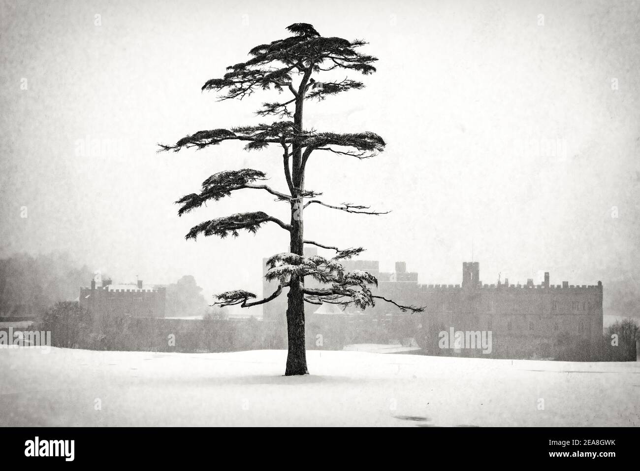 Leeds Castello Kent in tempesta di neve Foto Stock