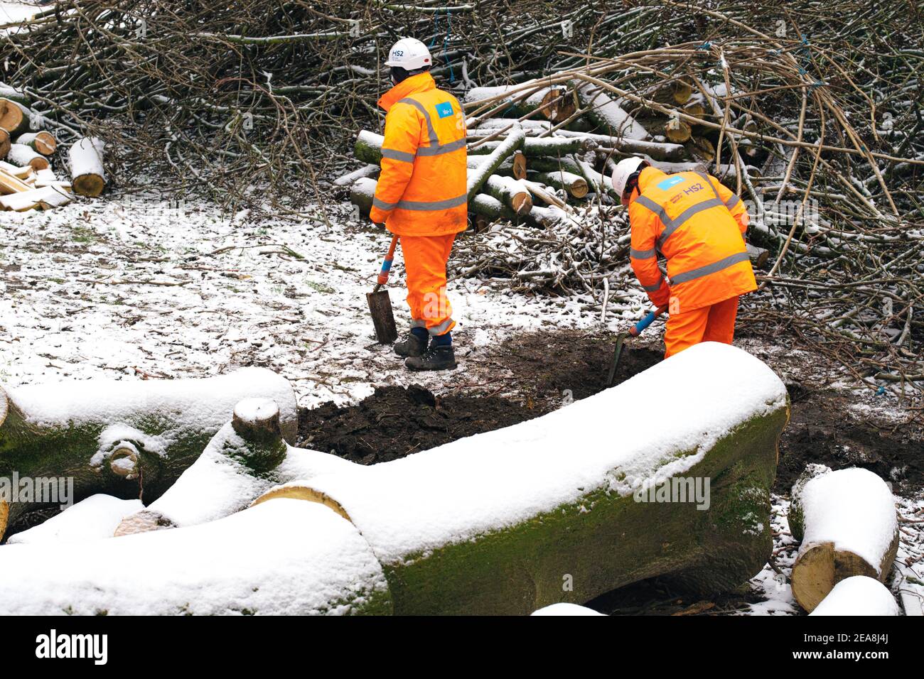 Londra, Regno Unito. Il tredici° giorno delle Euston Square, i lavoratori dell'HS2 continuano a scavare nella neve a Euston Square, Londra, Regno Unito. 8 Feb 2021. I tronchi e i rami degli alberi di piano abbattuto si trovano sparsi intorno. Il campo anti HS2 continua ad essere liquidato (per creare un'area di parcheggio temporanea) dai Bailiffs (del National Enforcement Team, NET, una filiale del High Court Enforcement Group) presso la stazione di Euston. Tutti i manifestanti sopra terra sono stati eliminati e stanno ora cominciando a scavare intorno ai tunnel.: Denise Laura Baker/Alamy Live News Foto Stock