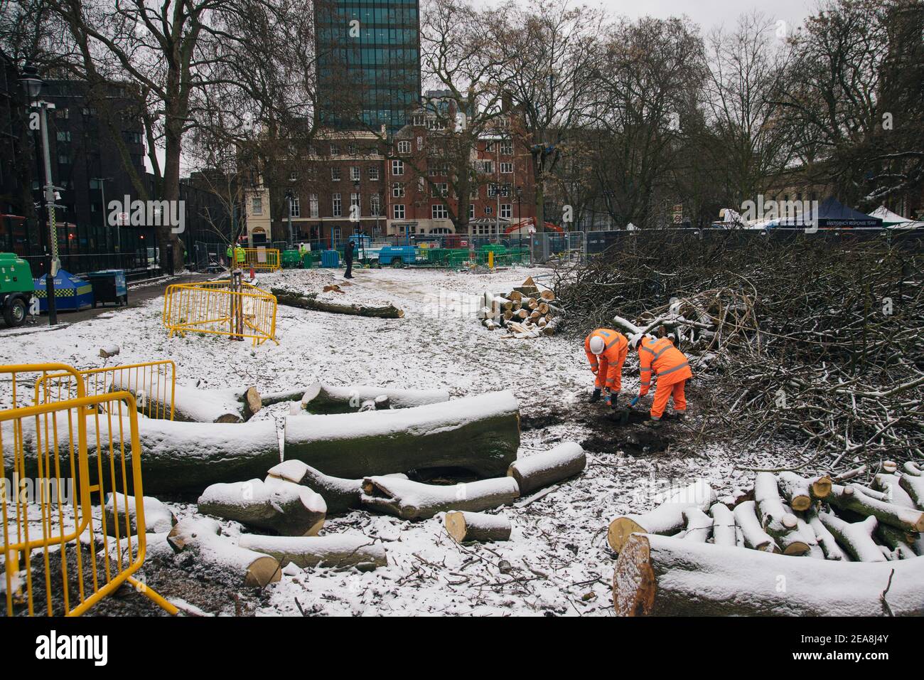 Londra, Regno Unito. Il tredici° giorno delle Euston Square, i lavoratori dell'HS2 continuano a scavare nella neve a Euston Square, Londra, Regno Unito. 8 Feb 2021. I tronchi e i rami degli alberi di piano abbattuto si trovano sparsi intorno. Il campo anti HS2 continua ad essere liquidato (per creare un'area di parcheggio temporanea) dai Bailiffs (del National Enforcement Team, NET, una filiale del High Court Enforcement Group) presso la stazione di Euston. Tutti i manifestanti sopra terra sono stati eliminati e stanno ora cominciando a scavare intorno ai tunnel.: Denise Laura Baker/Alamy Live News Foto Stock