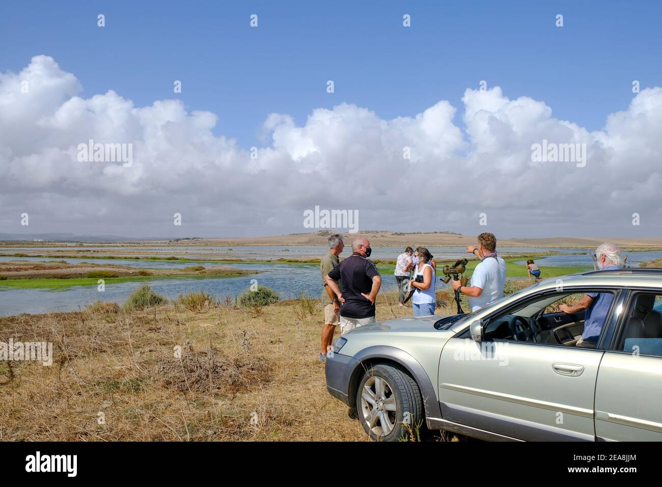 Birdwatcher che guardano i waders su Barbate Saltpans, Barbate, provincia di Cadice, Andalusia , Spagna Foto Stock