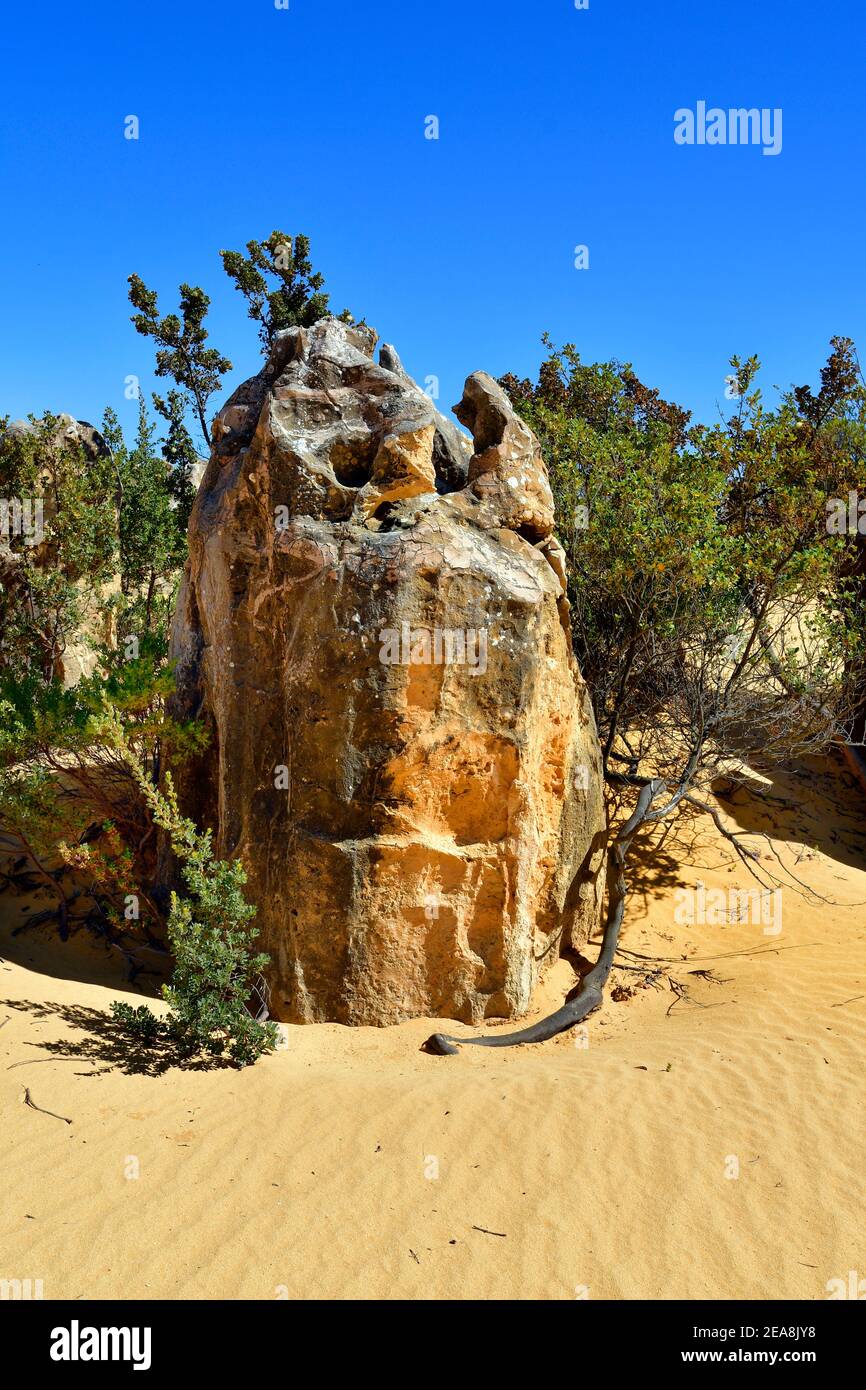 Australien, Westaustralien, Steinformation Pinnacles im Nambung Nationalpark bei Cervantes Foto Stock