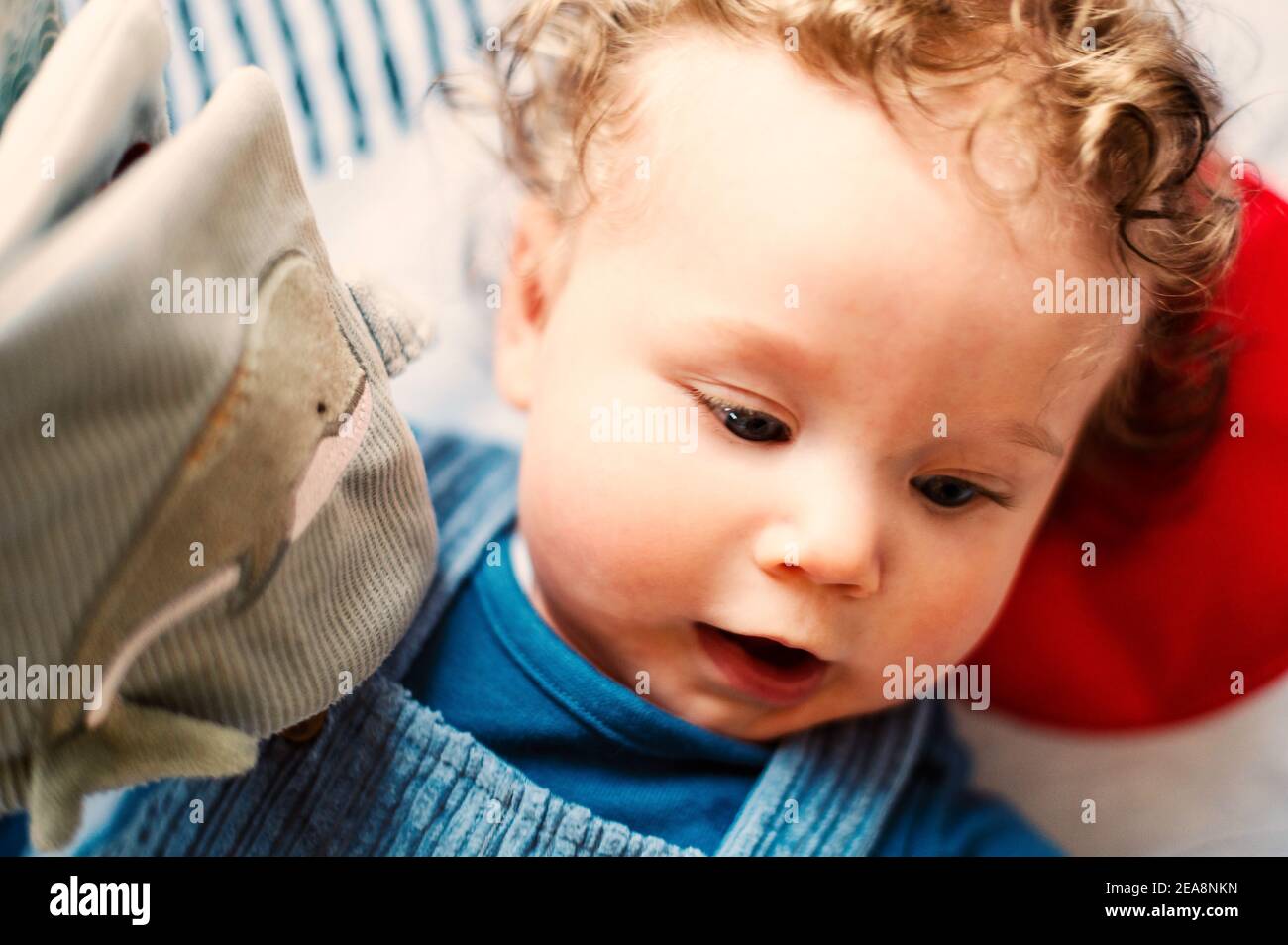 Baby boy esplorando il libro tattile Foto Stock